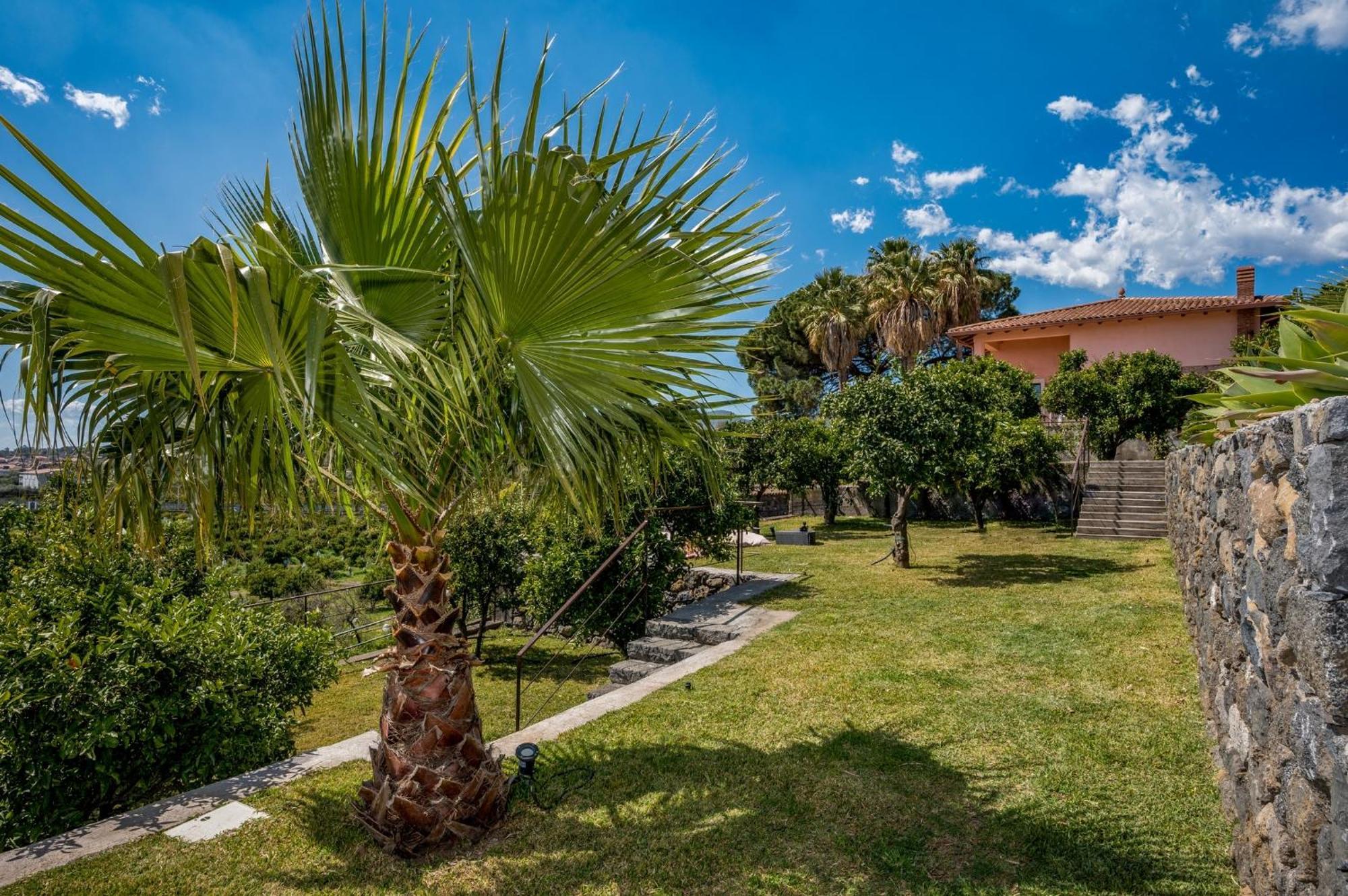 Agrume Country House Santa Venerina Exterior foto